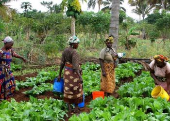Roteiro para Autossuficiência Alimentar de Angola e Empregos Juvenis via SADC – Tyilenga Tyokuehandja